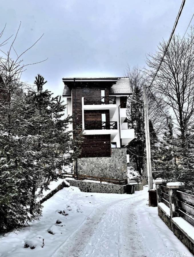 Casa Larisa - Wolves Apartment Sinaia Exterior photo