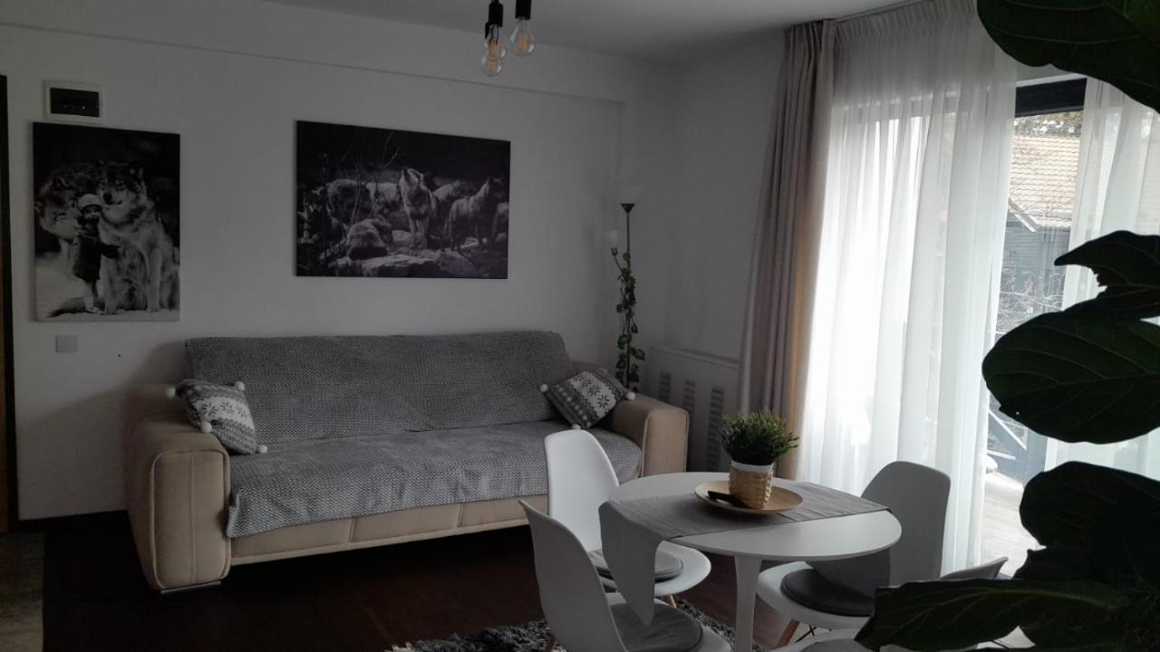 Casa Larisa - Wolves Apartment Sinaia Exterior photo